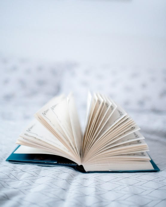 Illustration filière Edition